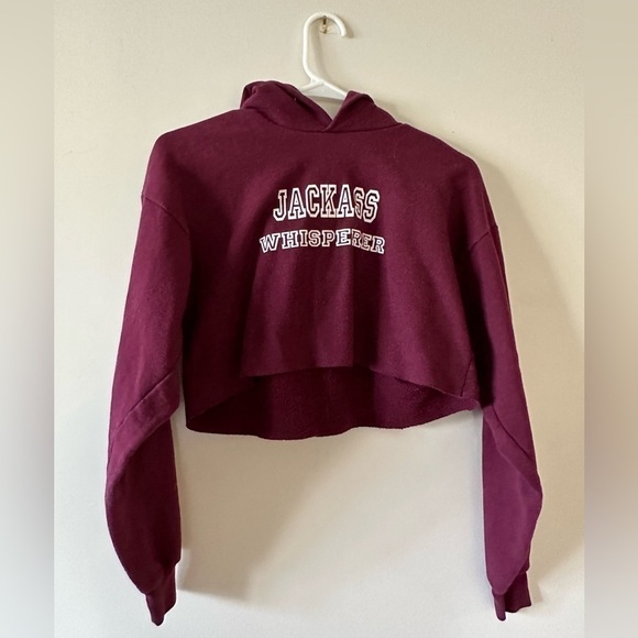 Hanes Sweaters - Cropped hoodie yxl axs